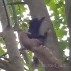 Awww nature is...wait...