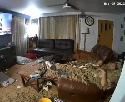 bruh the dog knew what was about to happen