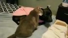 He loves her sooo much