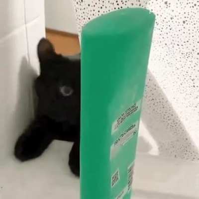 I HATE shampoo