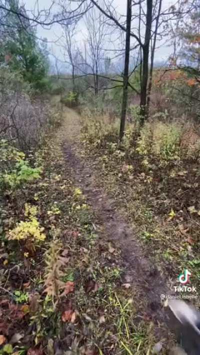 Slide instead of walking