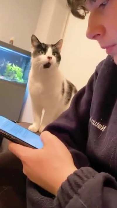 Get off your phone