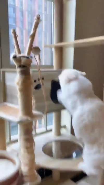 Parkour