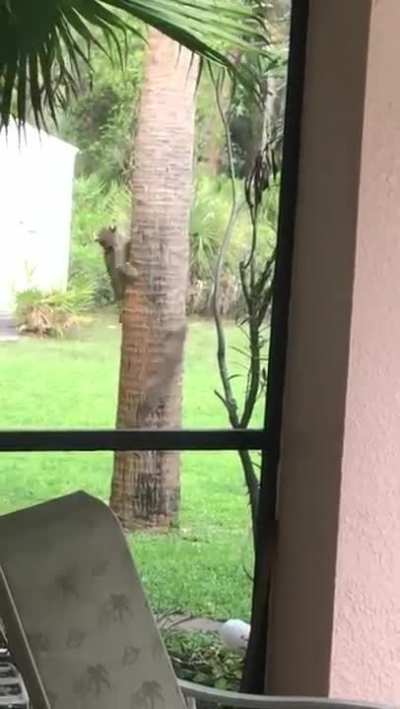 Maybe maybe maybe
