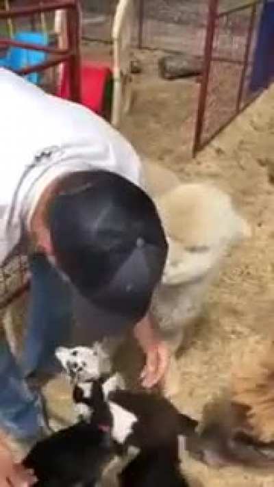 Requested with sound by u/Eastbayfuncouple