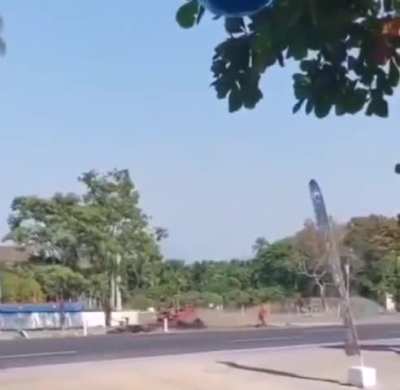 Tree Fell Over