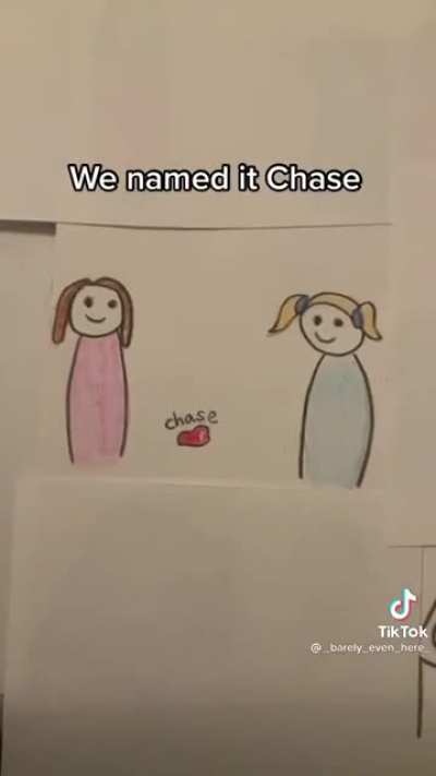 A Wild story