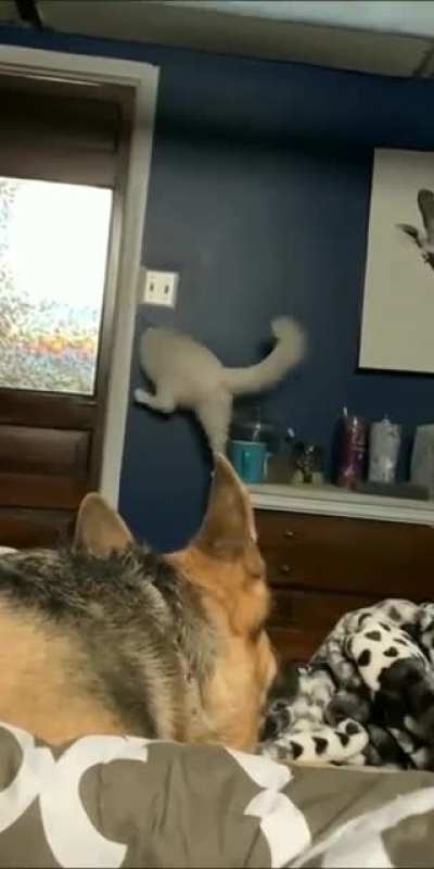 Through the wall