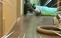 YesYesYesYesNo
