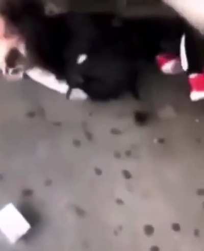 HMC while I hop the turnstile.