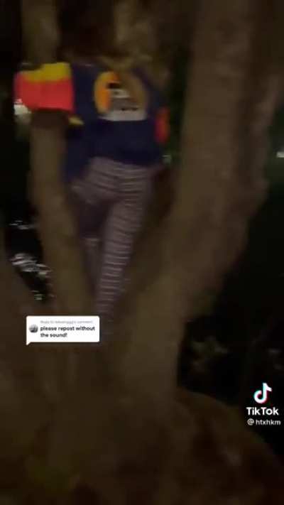 HMC while I show you something cool