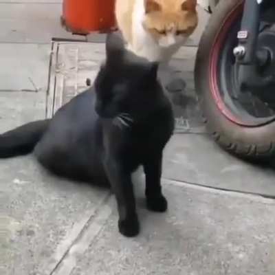 "Good thing my wife's not around..."