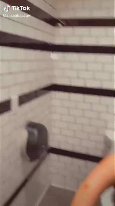 Randomly came across this one of some girls twerking in a bathroom while “sad” music plays, it’s minecraft music.