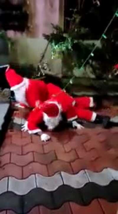 Christmas celebration has started guys.