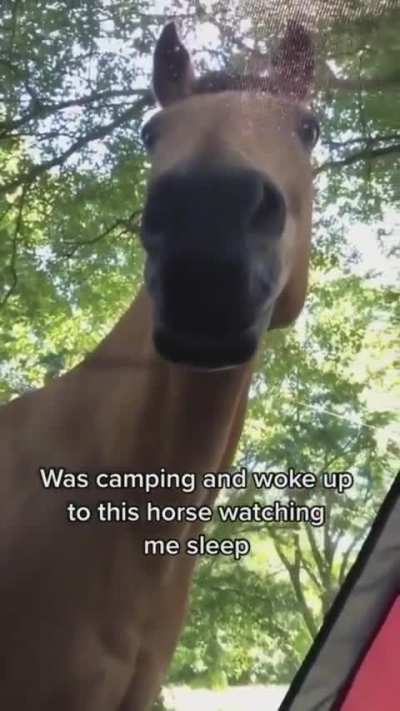 Imagine if you were there