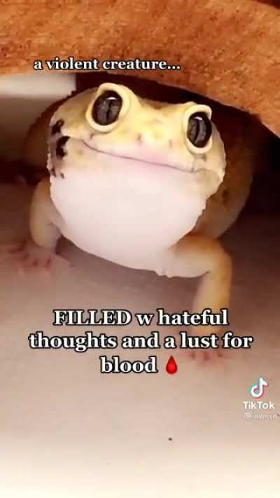 Dangerous ? ? ?