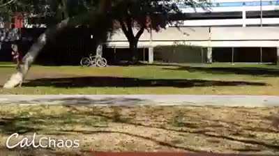 Bike thieves get a nice surprise.