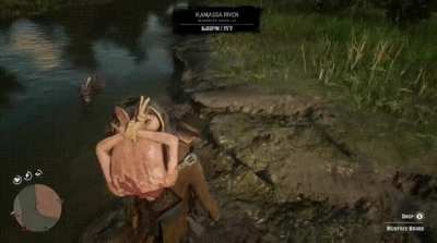 Gator’d