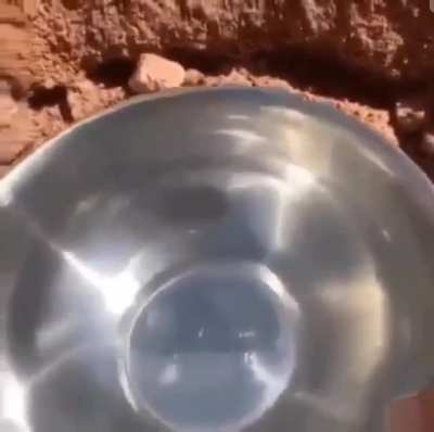 The water is crystal clear