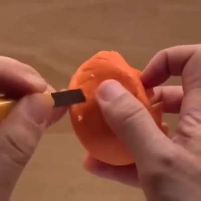 Tangerine horse!
