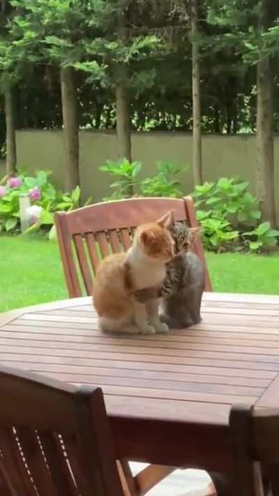 Friendship