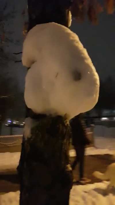 Found this in poland a few years ago. Not the right time of year for it but at least the bunny fits.