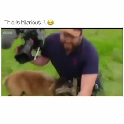 Boop