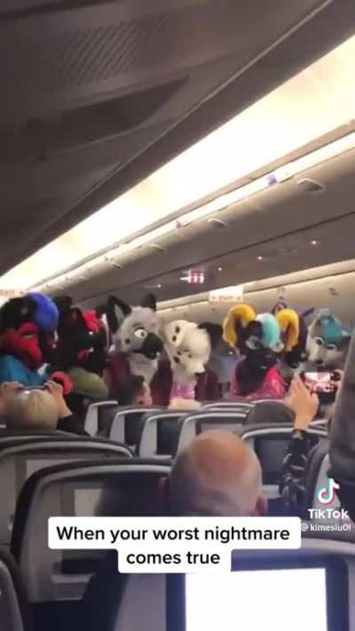 Yoooo furry on the plane?