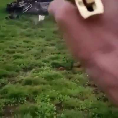 A Desert Eagle's "Ring of Fire"