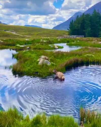 ?Glencoe, Scotland is the gateway to heaven