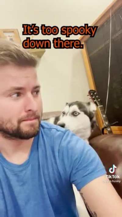 Husky can’t live in these conditions
