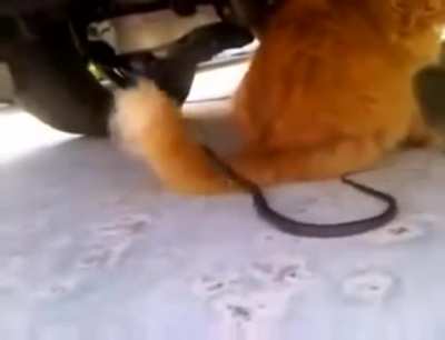 Too slow... Too slow again.... Still too slow..... Geeeet the hell away from me.