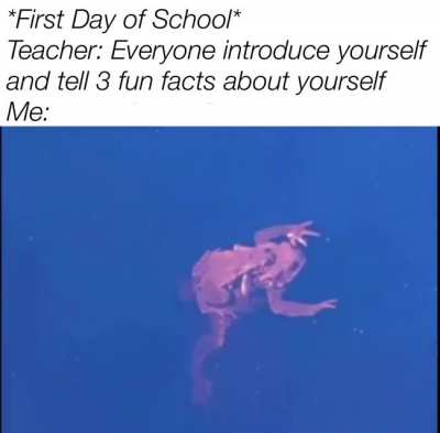One fun fact about me is: I sleep.