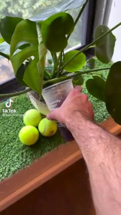 You'll never guess what happens