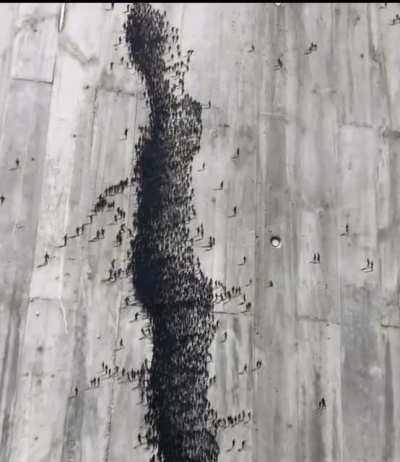 Structural damage