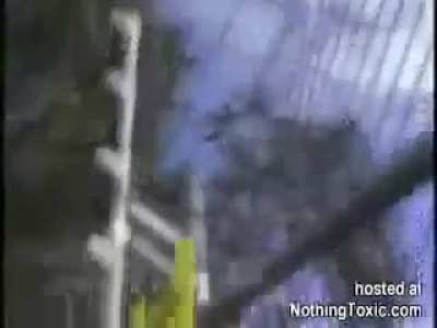 Electric fence warning sign: "do not touch" but TV reporter insists.