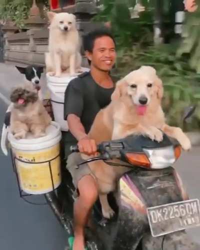 Cruising through Bali with the squad ?