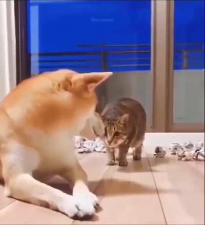 Stalking her prey