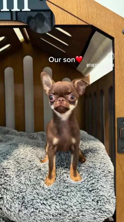 Baby Pictures