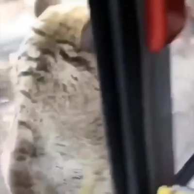 Sound on