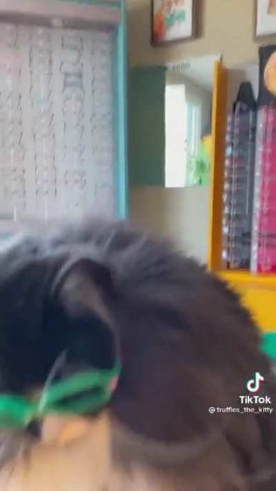 Truffles picks out his glasses