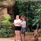 HMC while we hold a small snek