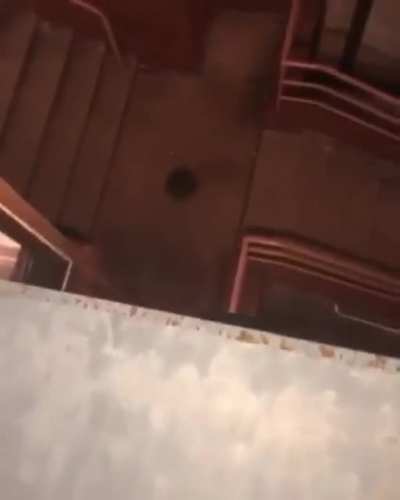 Man attempts To...Parkour