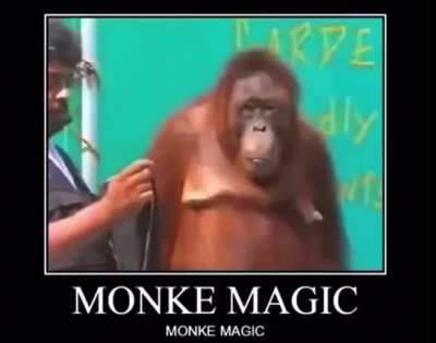 How this Monke