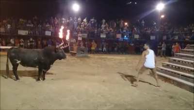 Don't mess with the bull .