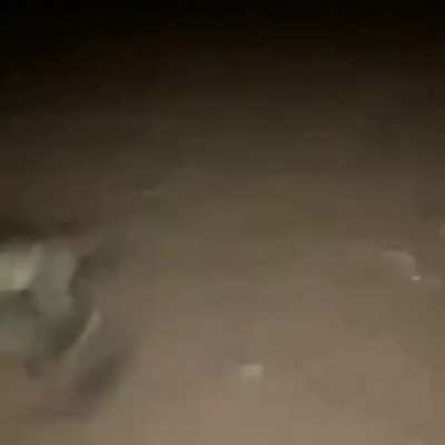 Froggy style