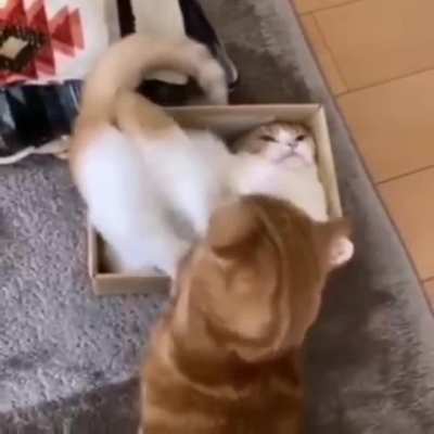 Leave me alone