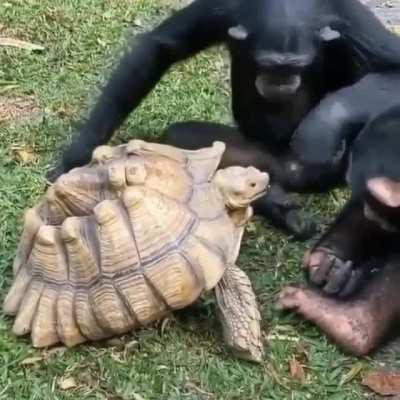 Sharing is caring