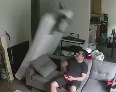 cat chaos