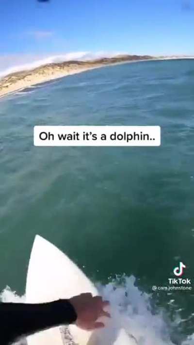 Oceans are beautiful